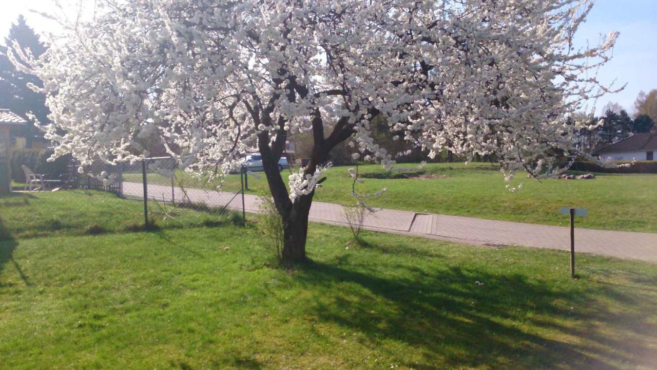 Apartment In Sehlen/Insel Ruegen 3067 외부 사진
